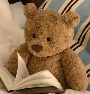 a teddy bear reading